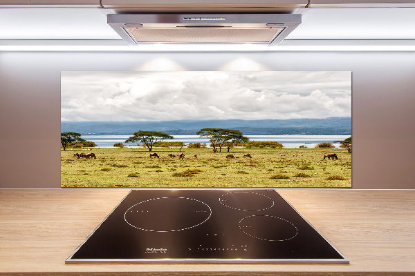 Salpicadero de cocina Lago Naivasha