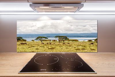 Salpicadero de cocina Lago Naivasha