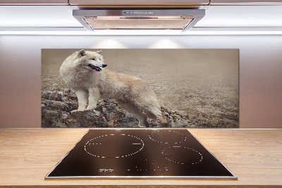 Panel lacobel Biały wilk na skale