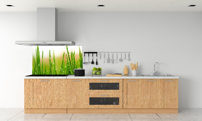 Panel szklany do kuchni Trawa