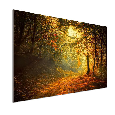 Salpicadero de cocina Bosque en otoño