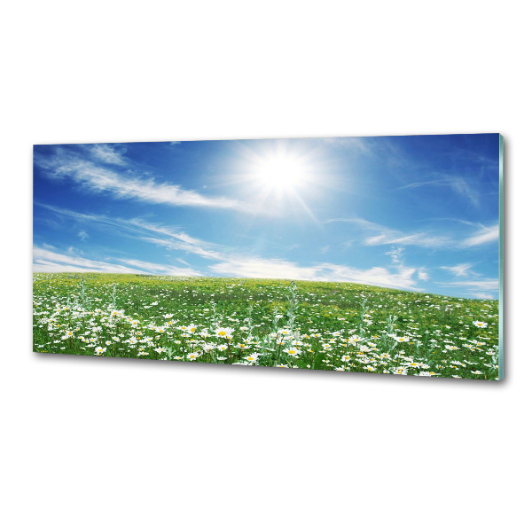 Panel szklany do kuchni Łąka