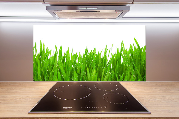 Panel szklany do kuchni Trawa