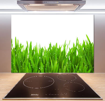 Panel szklany do kuchni Trawa