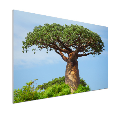 Panel szklany do kuchni Baobab