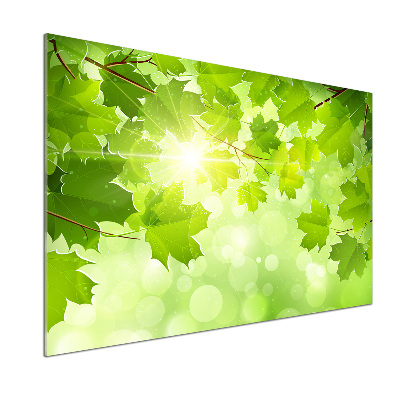 Panel do kuchni Liście kasztanowca