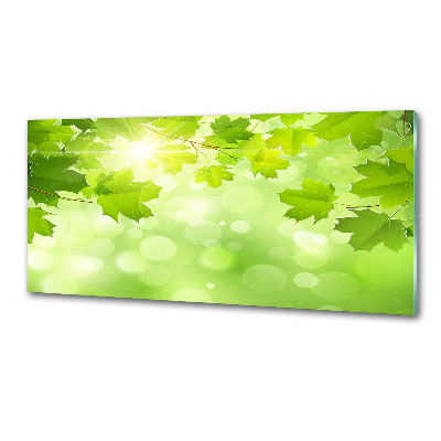 Panel do kuchni Liście kasztanowca