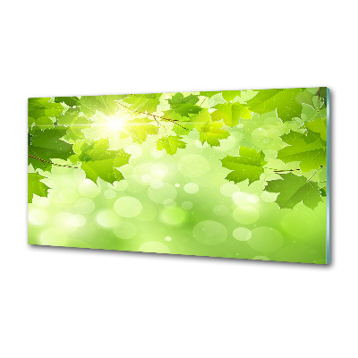 Panel para cocina hojas de castaño de Indias