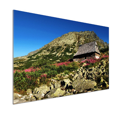 Panel de pared de cocina Cabaña de pastor en el valle
