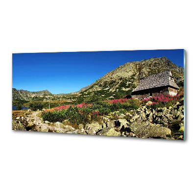 Panel de pared de cocina Cabaña de pastor en el valle