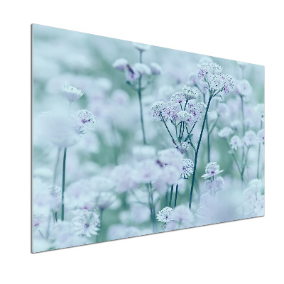 Panel de pared de cocina Mantlewort mayor