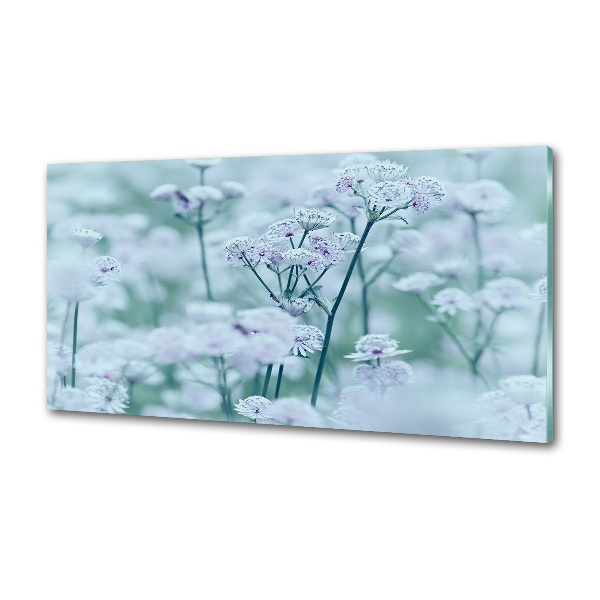 Panel de pared de cocina Mantlewort mayor