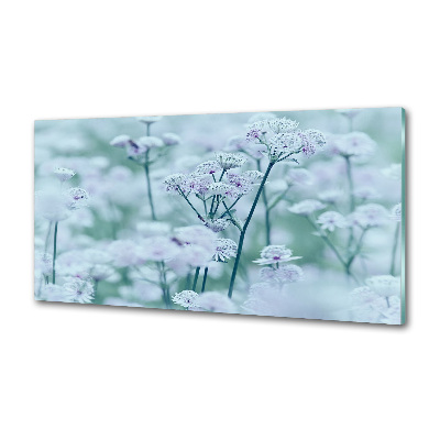 Panel de pared de cocina Mantlewort mayor