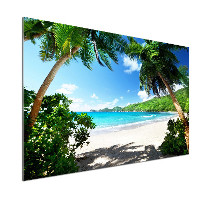 Panel antisalpicaduras Playa de Seychelles