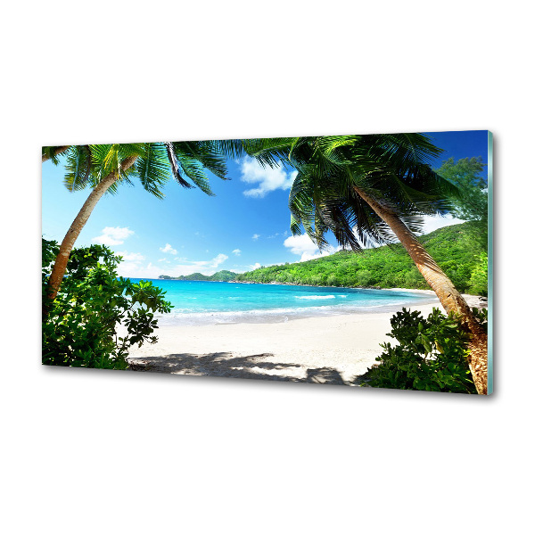 Panel antisalpicaduras Playa de Seychelles