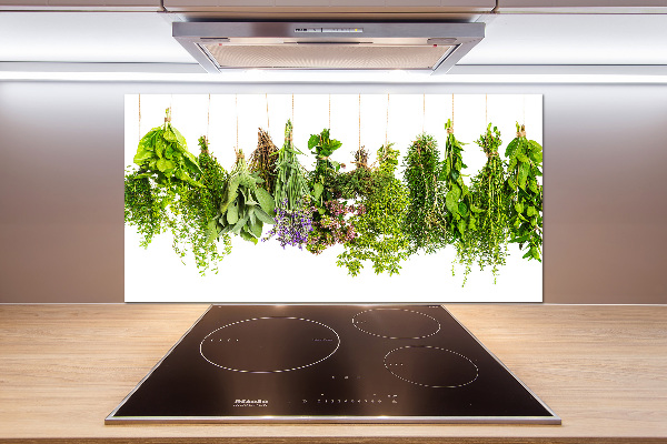 Panel de pared de cocina Hierbas en una cuerda