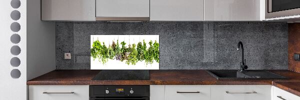 Panel de pared de cocina Hierbas en una cuerda