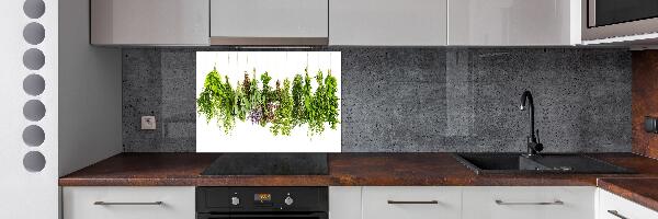 Panel de pared de cocina Hierbas en una cuerda