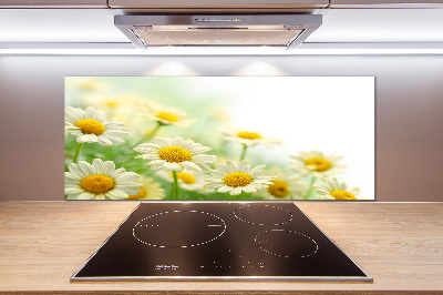 Panel de pared de cocina margaritas