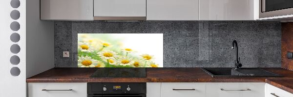 Panel de pared de cocina margaritas