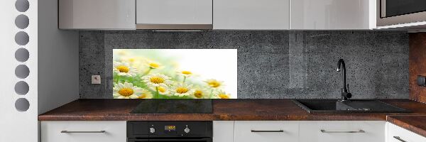 Panel między meble w kuchni Stokrotki