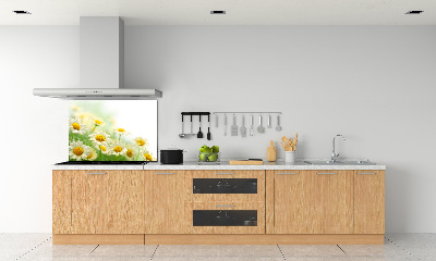 Panel de pared de cocina margaritas