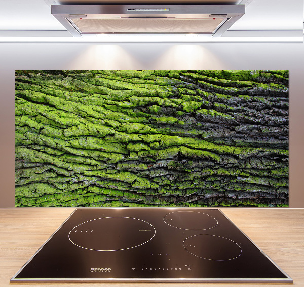 Panel dekor szkło Kora drzewa