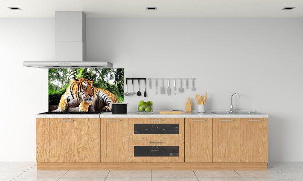 Salpicadero de cocina Tigre en una roca