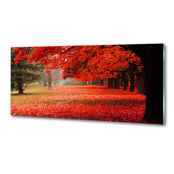 Panel para cocina Árboles en otoño