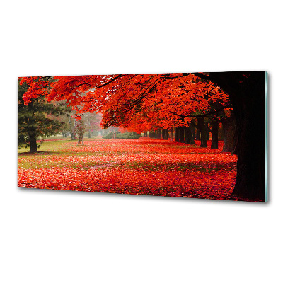 Panel para cocina Árboles en otoño