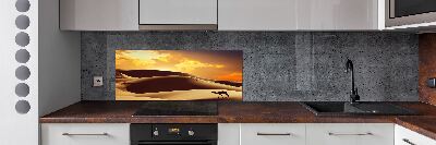 Salpicadero para cocina Camello del Sahara