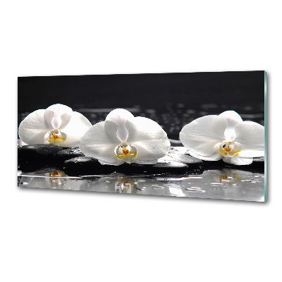 Panel antisalpicaduras Orquídea