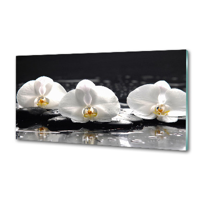 Panel antisalpicaduras Orquídea