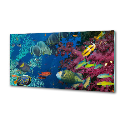 Panel de pared de cocina Arrecife de coral