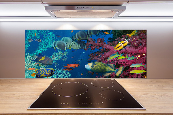 Panel de pared de cocina Arrecife de coral