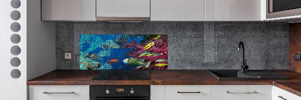 Panel de pared de cocina Arrecife de coral
