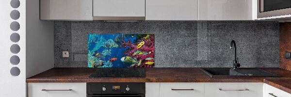 Panel de pared de cocina Arrecife de coral