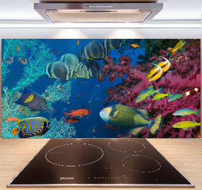 Panel de pared de cocina Arrecife de coral
