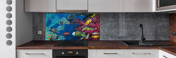 Panel de pared de cocina Arrecife de coral