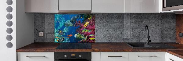 Panel de pared de cocina Arrecife de coral