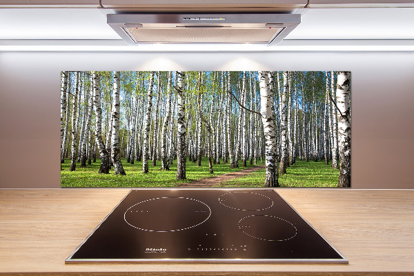 Panel dekor szkło Brzozowy las