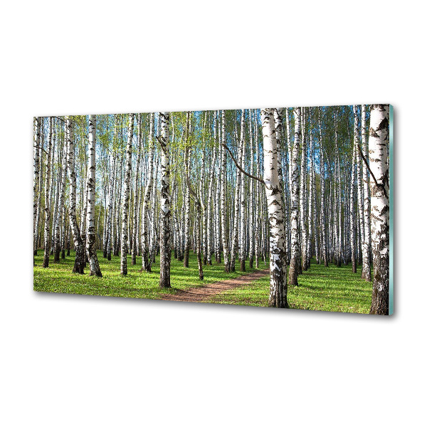 Panel dekor szkło Brzozowy las