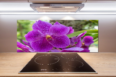 Panel między meble w kuchni Orchidea