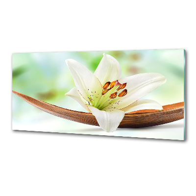 Panel de pared de cocina Lirio