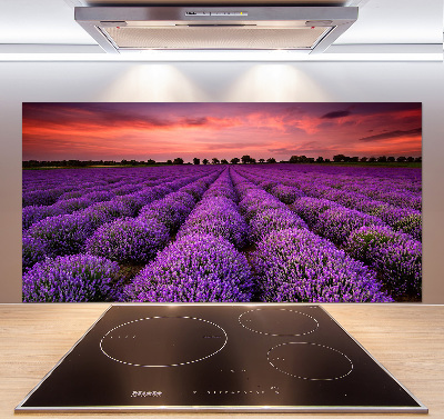 Panel de pared de cocina campo de lavanda