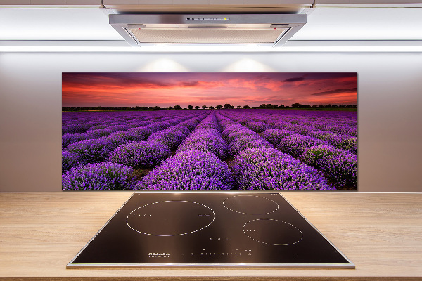 Panel de pared de cocina campo de lavanda