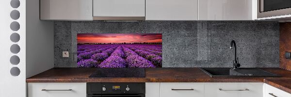 Panel de pared de cocina campo de lavanda