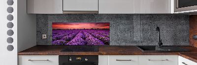 Panel de pared de cocina campo de lavanda
