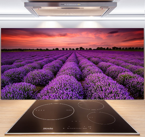 Panel de pared de cocina campo de lavanda