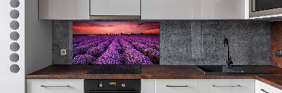 Panel de pared de cocina campo de lavanda
